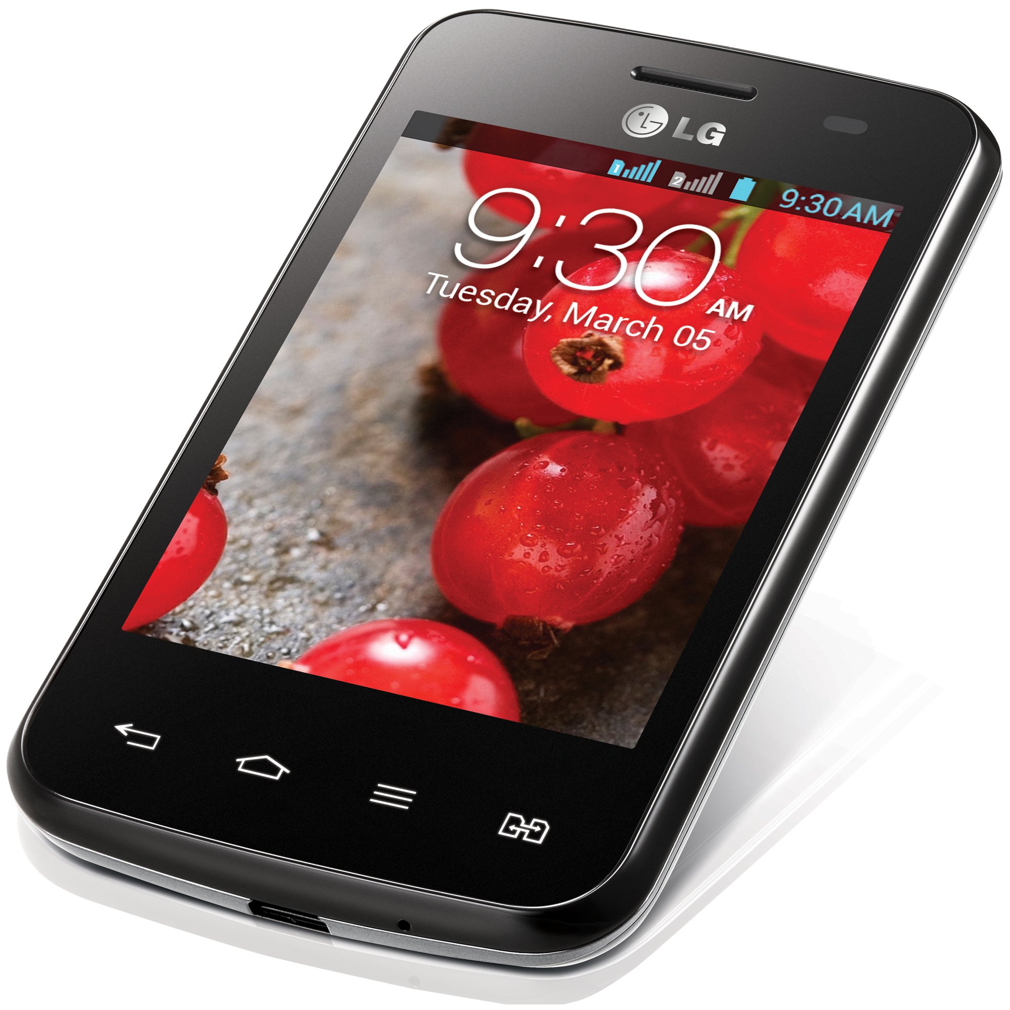 Ремонт LG Optimus L3 II Dual