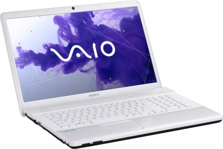 Sony Vaio VPC-EH2J1R